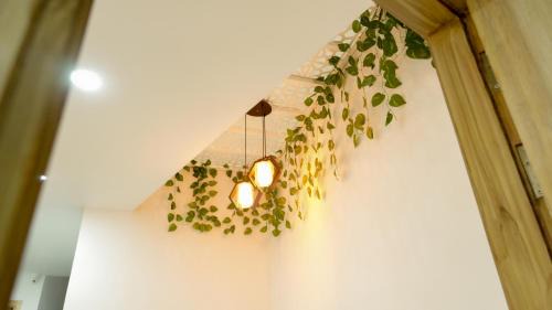 Rishikesh Hotel | Hotel Savaya Luxury Stay Near AIIMS Rishikesh