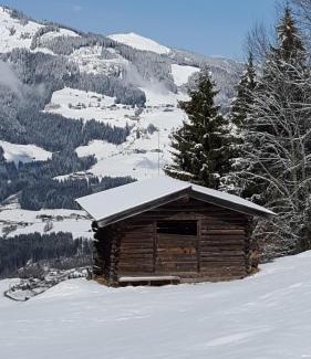Mittersill Hotel | Hotel Wieser