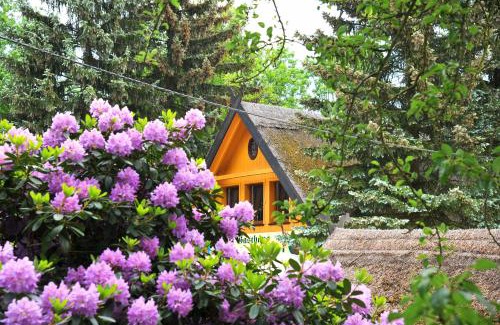 Lehde Hotel | Hotelanlage Starick
