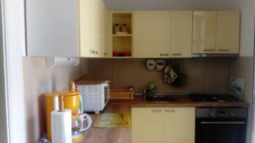 Blace Apartment | House Bjanka