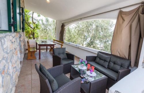 Tkon House | House Dino