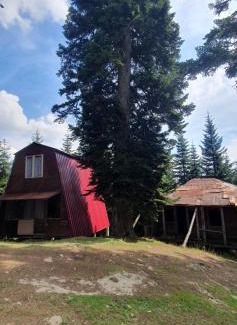 Khulo House | House in forest