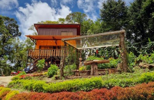 Quebrada Grande Cabin | House in the Clouds Monteverde