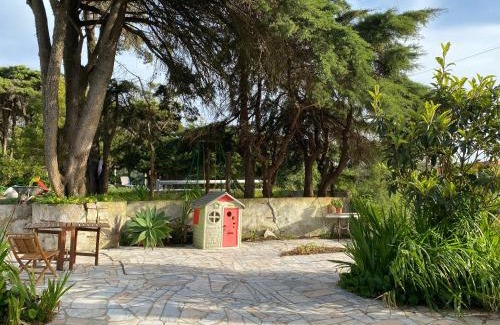 Sintra House | House of green leaves