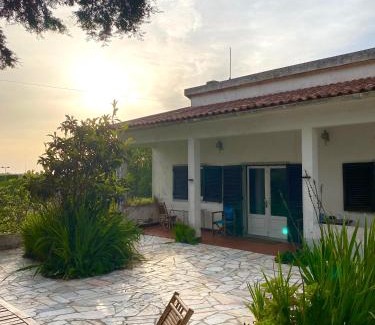 Sintra House | House of green leaves