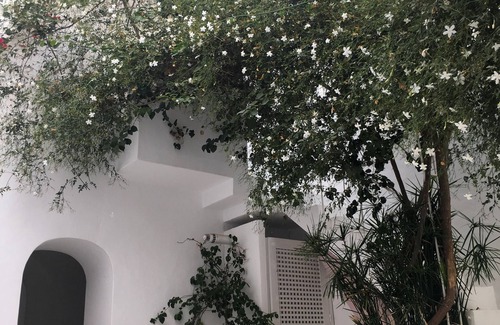 Medina House | House/Villa - Hammamet