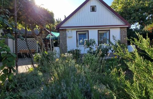 Zatoka House | House with flowers