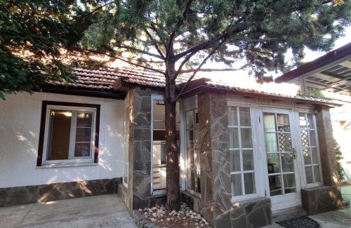 Zatoka House | House with flowers