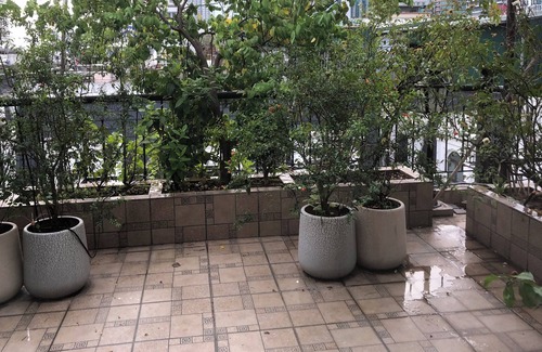 Dich Vong Apartment | Hpretty House Serviced Apartment Cau Giay