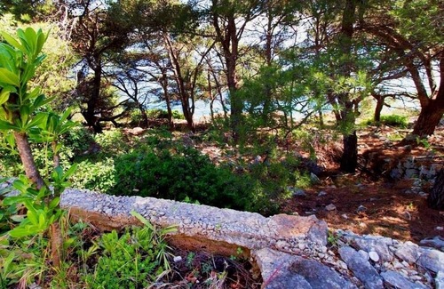 Cove Donja Krusica (Donje selo) Apartment | Apartment Jagoda - next to the sea: A1(4) - Cove Donja Krusica (Donje selo), Island Solta, Croatia