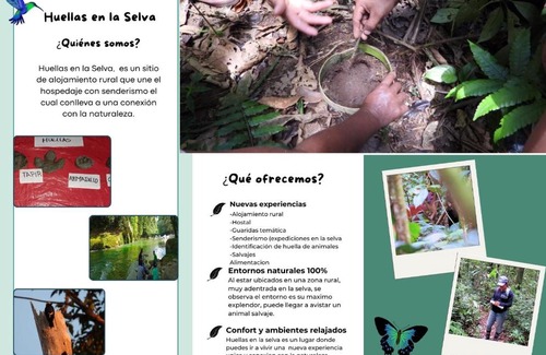 Mocoa House | Huellas en la selva sas zomac