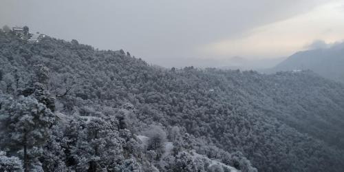 Shimla Apartment | Hues & Trails Ground Zero