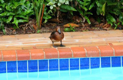 Mtunzini Bed & Breakfast | Hunters B&B