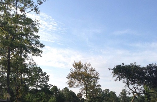 Aurora Cabin | Hunting And Fishing Get Away - Boat Ramp On Property - Amazing Fishing