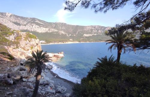 Karaoz Apartment | Hurmalik Aparts & Bungalows - Family Bungalows - Large Garden Bungalow with Barbecue