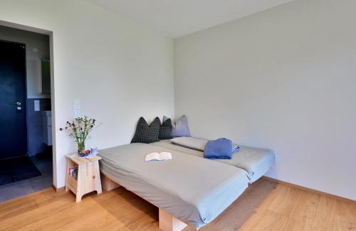 Buerserberg House | Hus154 Ferienhaus im Brandnertal