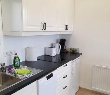 Vik I Myrdal Bed & Breakfast | Hvammból Guesthouse