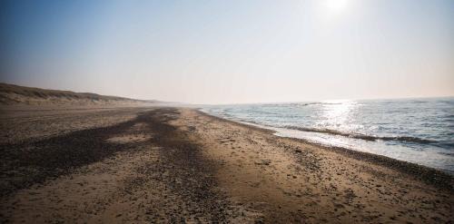 Argab Apartment | Hvide Sande Beach Apartments