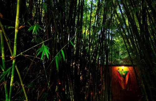 Cidra House | HW Tiny Home Cidra