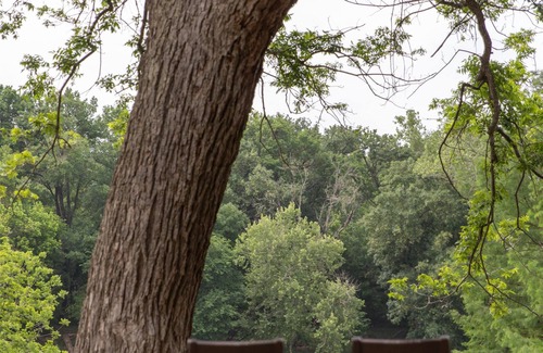 Lost Pines Resort | Hyatt Regency Lost Pines Resort and Spa