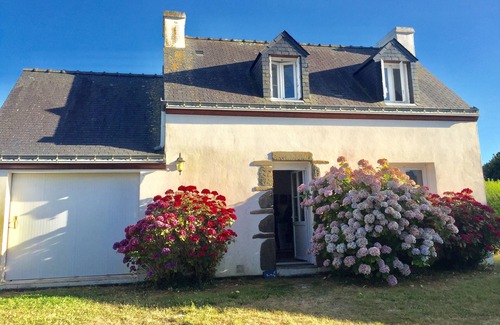 Groix House | Hydrangeas