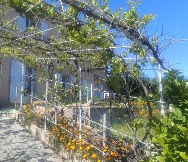 Chateau-Arnoux-Saint-Auban Apartment | Hysope