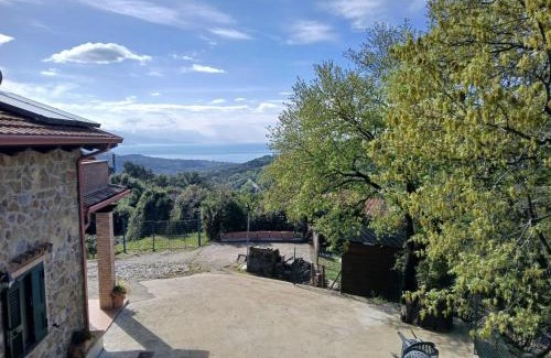 Vibonati Apartment | I Corbezzoli