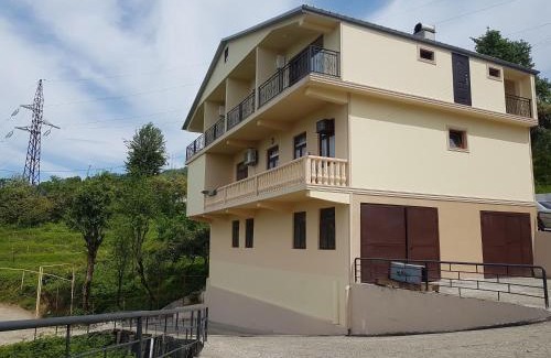 Mtsvane Kontskhi House | Iberia 2019