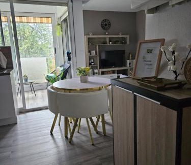 Digne-les-Bains Apartment | Idéal long séjour, Souvenirs de Provence,T2 classé, vue sur les montagnes, toutes commodités!