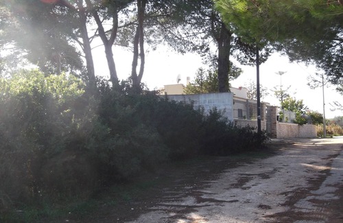 Avetrana House | Idyll in the countryside, only 1.5 km to the sea