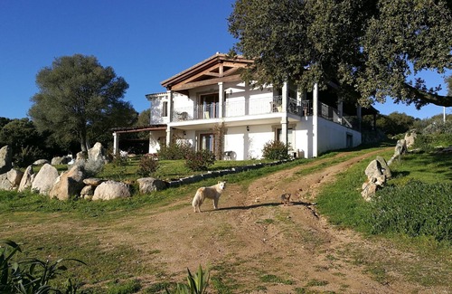 Telti Apartment | Idyllic apartment with unobstructed views to the Tyrrhenian sea