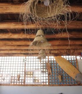 Imsouane Bed & Breakfast | IGGYBAY Imesouane