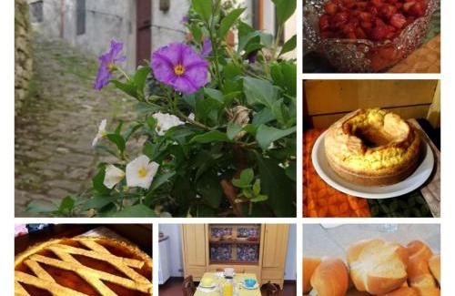 Rocca San Casciano House | IL BORGHETTO Room&Breakfast