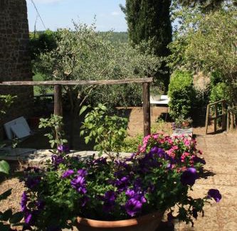 Gaiole in Chianti House | Il Fico in Chianti