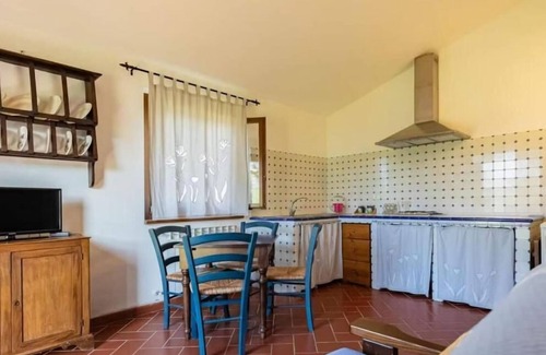 Scansano Other | Il Girasole Terzuolo