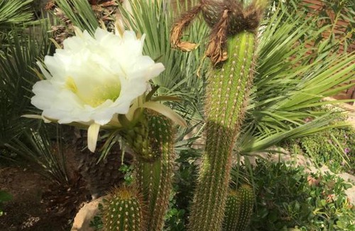 Cornino Villa | Il Mare Che Bacia La Spiaggia