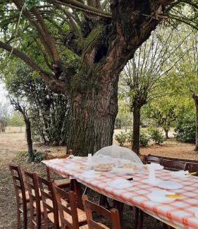 Carentino House | Il Murôn Guest House