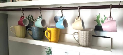 Tortoreto Apartment | Il Rustico