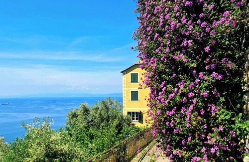 Pieve Ligure Apartment | Il Sogno del Capitano