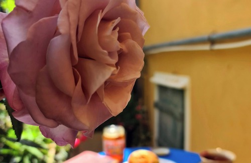 Pieve Ligure Apartment | Il Sogno del Capitano