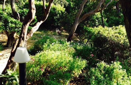 Ile du Levant House | Ile du Levant from October 1 to April 30 "Bain de Diane room"