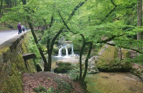 Roth an der Our Apartment | Im Baumhaus