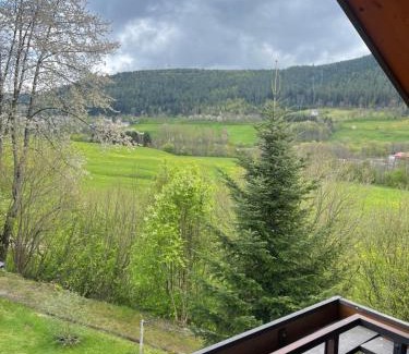 Tonbach Apartment | Im Tannenblick