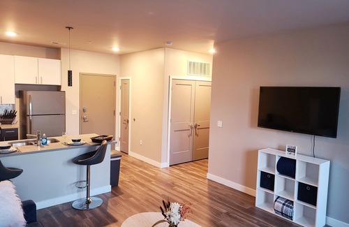 Downtown St. Louis Apartment | Immaculate Luxury Suite 121- Queen
