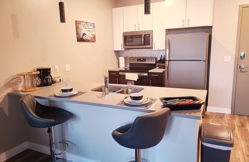 Downtown St. Louis Apartment | Immaculate Luxury Suite 121- Queen