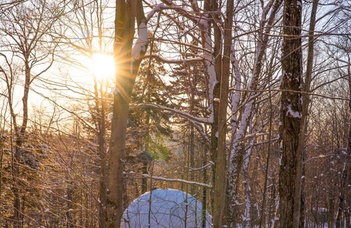 Notre-Dame-de-la-Merci Cabin | Immersive 4-season accommodation experience in a dome in a natural environment.