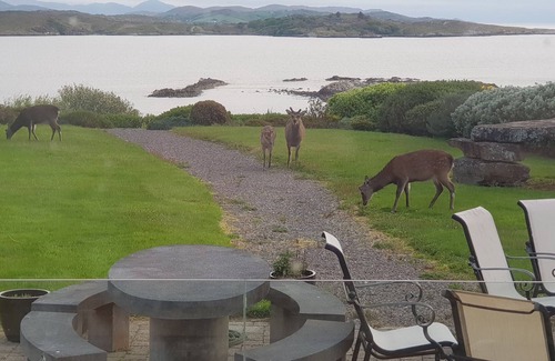 Lauragh House | IN?EAR SCÉINE., family friendly in Tuosist, County Kerry