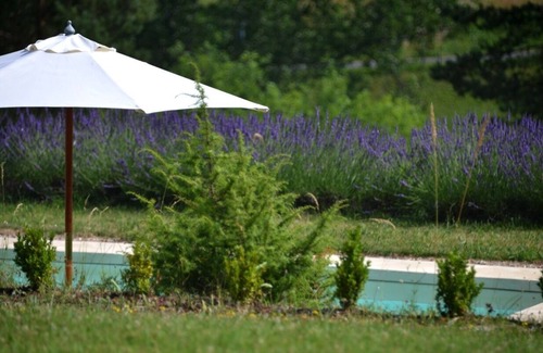 Thenon House | In the heart of the Périgord Noir, an old 18th century farm with complete independence