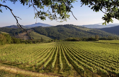 Manciano House | In the heart of the Tuscan Maremma - Bio Agriturismo Poggio Foco - "La Casetta"