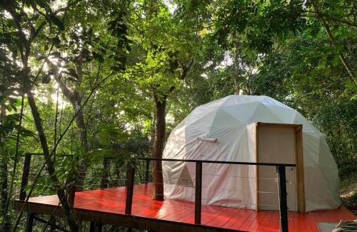 Jayuya House | Indómito Domes at El Yunque Zone